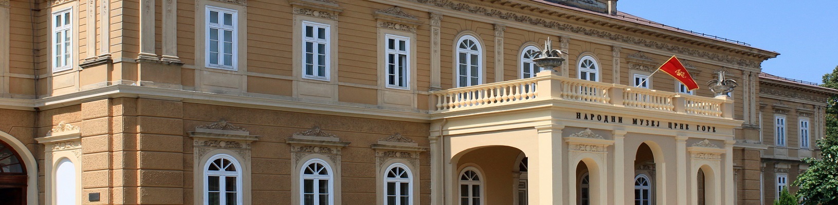 Montenegro health system information