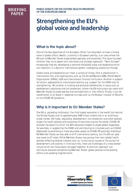 Strengthening the EU’s global voice and leadership